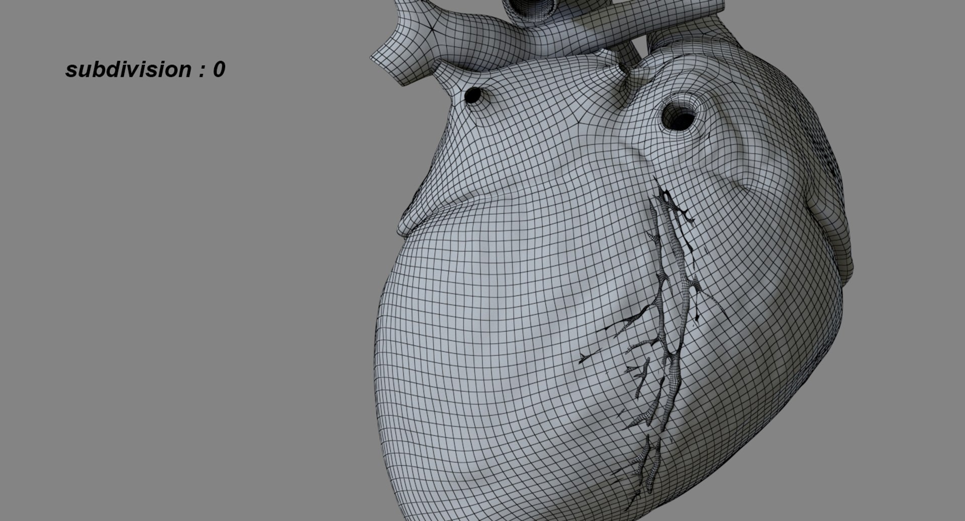 3D human heart anatomy model https://p.turbosquid.com/ts-thumb/g5/MrWCkV/v9AaLPEX/23/jpg/1525401524/1920x1080/fit_q87/cd2089f51db02f5b03d9c30c81d575ce6d320907/23.jpg