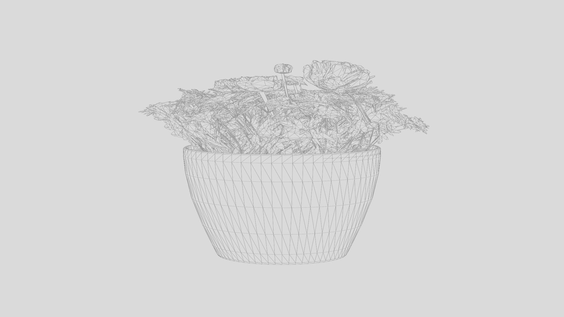 3D Model Buttercup Or Ranunculus Mache Vanilla Rose 3D Model ...
