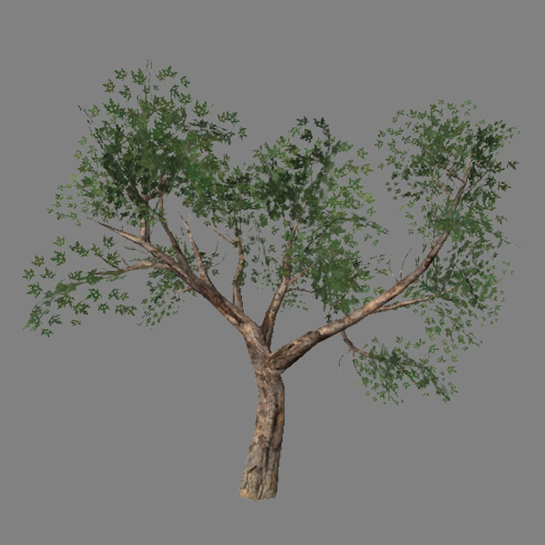 obj tree 03