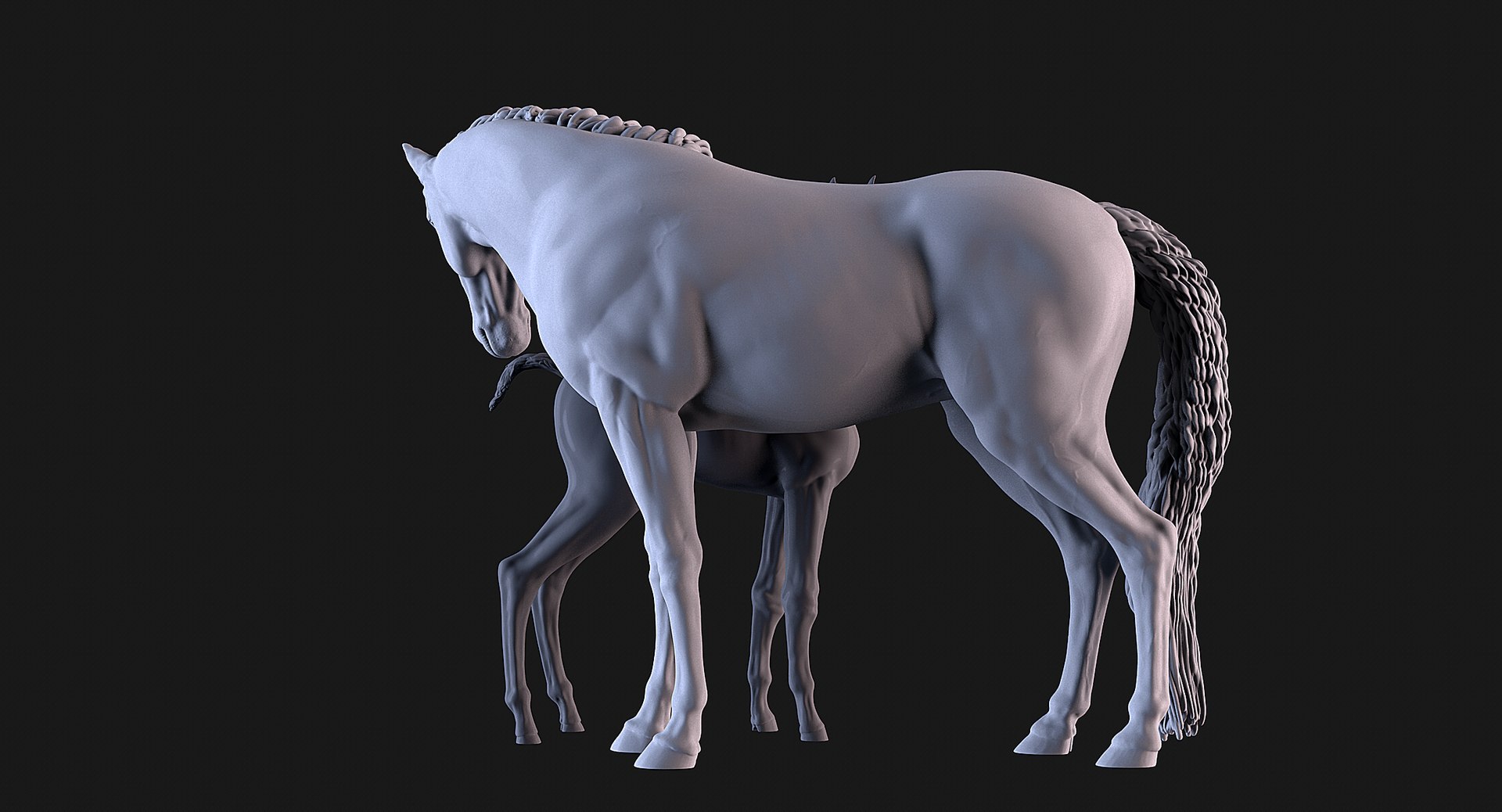 3D Mare and Foal https://p.turbosquid.com/ts-thumb/g5/tikXjM/6h/05/png/1747138975/1920x1080/fit_q87/129a2c97967dfe26792104fb5e837e21d4b65075/05.jpg