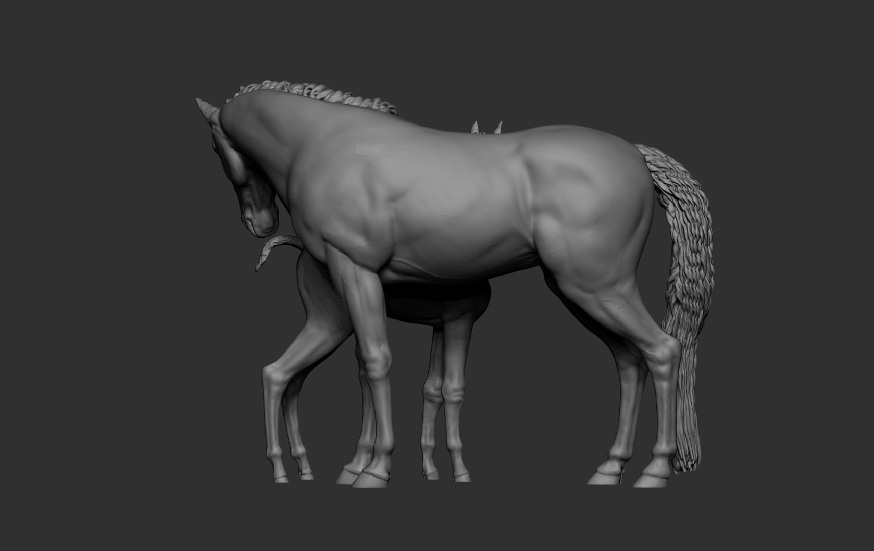 3D Mare and Foal https://p.turbosquid.com/ts-thumb/g5/tikXjM/8Q/13/png/1747138982/1920x1080/fit_q87/d85fbacd72c2ee7fced75432bebac64ea2f28db6/13.jpg