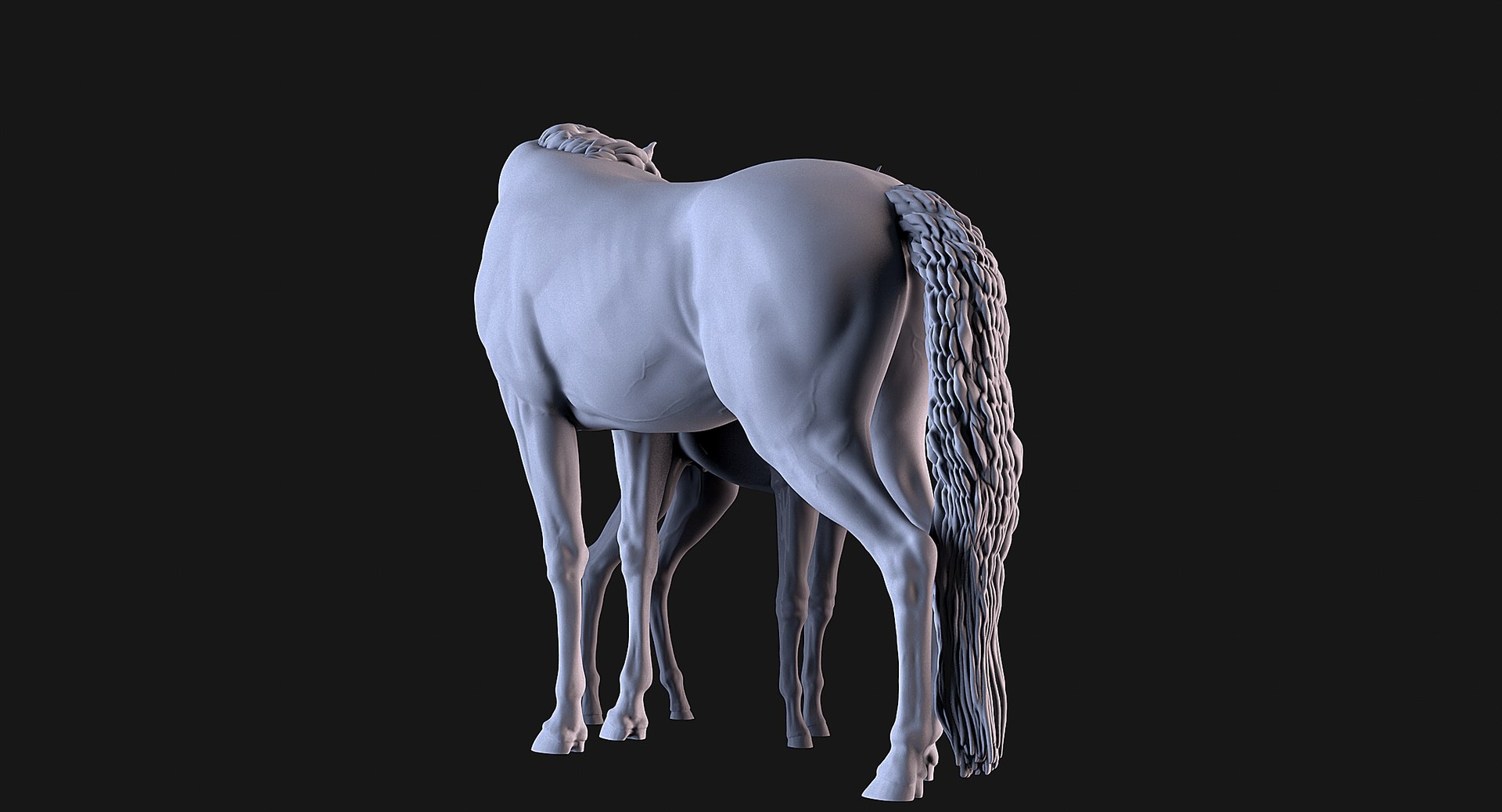 3D Mare and Foal https://p.turbosquid.com/ts-thumb/g5/tikXjM/Rq/06/png/1747138976/1920x1080/fit_q87/7794a89e7ab35d3edc431b511c94a3105811028f/06.jpg