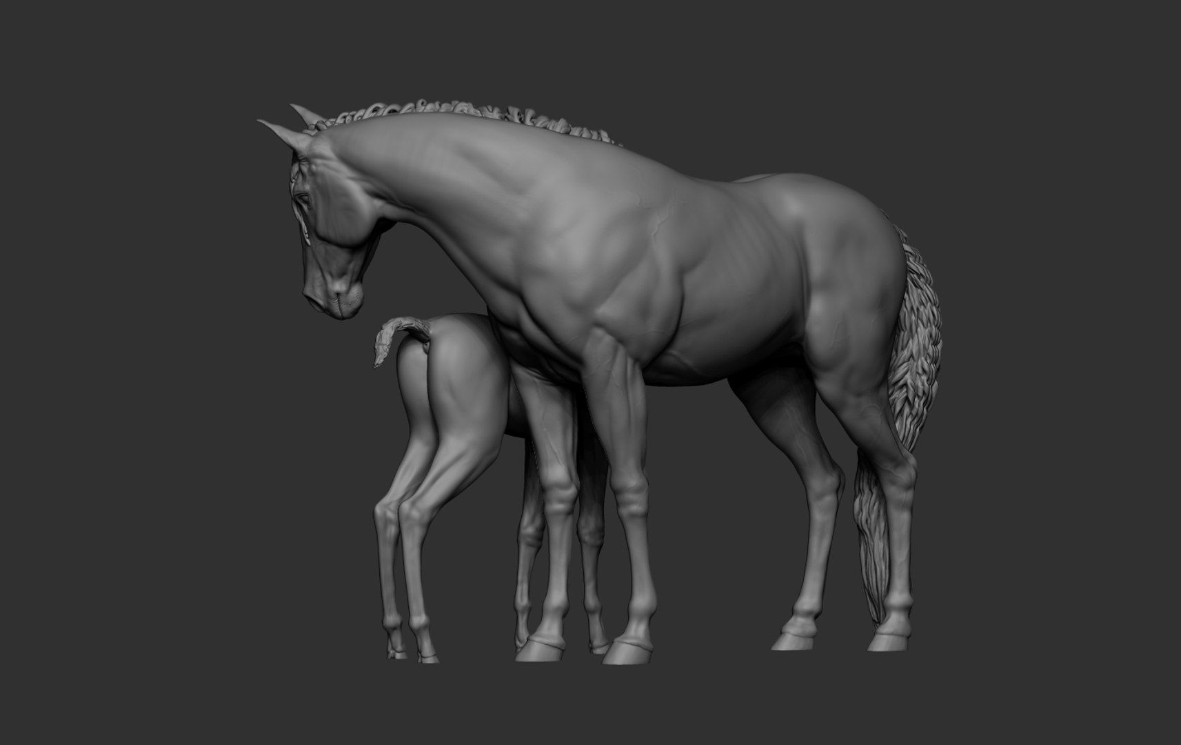 3D Mare and Foal https://p.turbosquid.com/ts-thumb/g5/tikXjM/Rt/12/png/1747138982/1920x1080/fit_q87/1e9fd843a52f9d9be6b3181eeb1d1f7838ced107/12.jpg