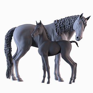 Mare and Foal