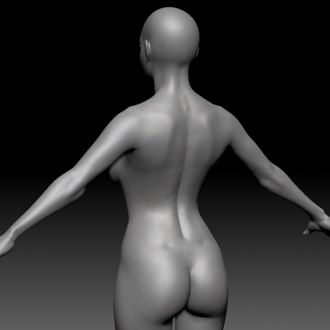 female basemesh ztool 4r8 3D model https://p.turbosquid.com/ts-thumb/g6/A5nEFA/0NplRpV1/zbrush_grabs_07/jpg/1542798112/1920x1080/fit_q87/a9bd8e07c57591dcdf38cd36b01b05c987605c79/zbrush_grabs_07.jpg
