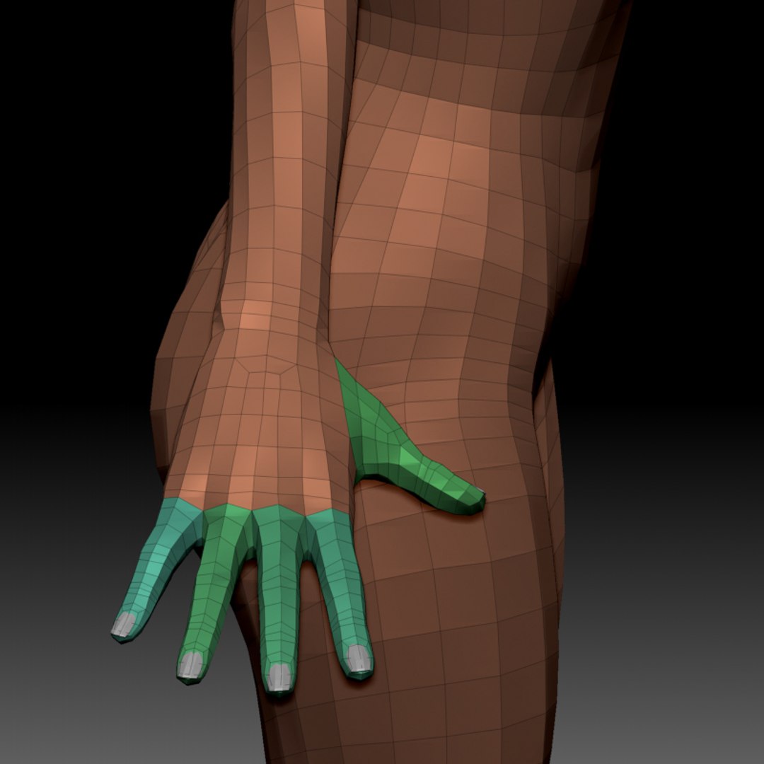 female basemesh ztool 4r8 3D model https://p.turbosquid.com/ts-thumb/g6/A5nEFA/7Rhiv6IF/zbrush_grabs_17/jpg/1542798113/1920x1080/fit_q87/411e98ac864b72719f2a8e8b239286e9b17dffd6/zbrush_grabs_17.jpg