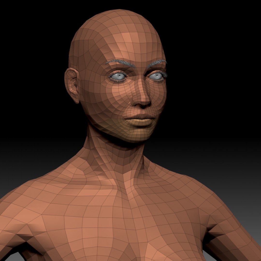 female basemesh ztool 4r8 3D model https://p.turbosquid.com/ts-thumb/g6/A5nEFA/Ql8qkOWS/zbrush_grabs_14/jpg/1542798112/1920x1080/fit_q87/121081d30fe508081069fcaa0a2d6906f203989d/zbrush_grabs_14.jpg