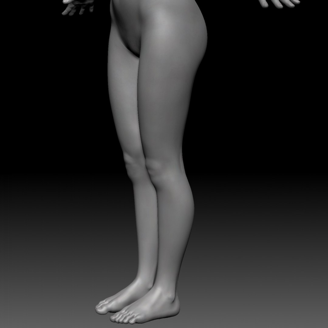 female basemesh ztool 4r8 3D model https://p.turbosquid.com/ts-thumb/g6/A5nEFA/eNtY7QKR/zbrush_grabs_10/jpg/1542798112/1920x1080/fit_q87/63c069de71c1f8b2494deec8097a9e1c3535a573/zbrush_grabs_10.jpg