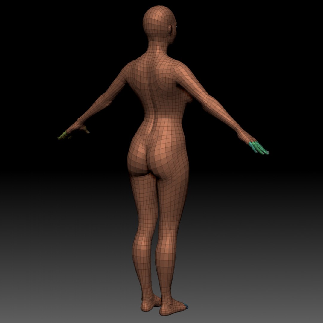 female basemesh ztool 4r8 3D model https://p.turbosquid.com/ts-thumb/g6/A5nEFA/fCPvhACx/zbrush_grabs_12/jpg/1542798112/1920x1080/fit_q87/99674ff5f7bce6b74675bd84c5cd6d647e1635b7/zbrush_grabs_12.jpg