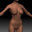 Female Basemesh ZTool 4R8