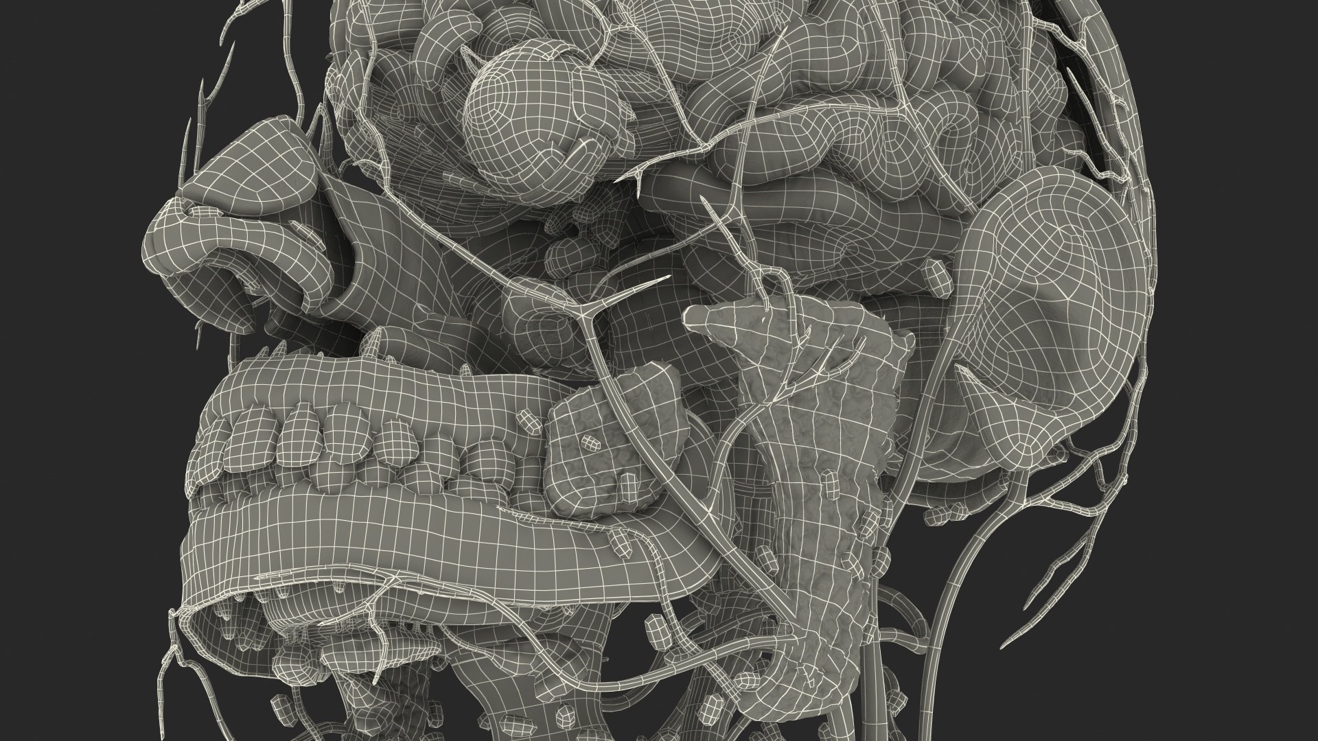 3D human head anatomy https://p.turbosquid.com/ts-thumb/g6/IK1u6e/1gWwon3e/humanheadfullanatomyvray3dmodel050/jpg/1574357703/1920x1080/fit_q87/fe1b680c06339181d377a18ecf56d784c8a371e8/humanheadfullanatomyvray3dmodel050.jpg
