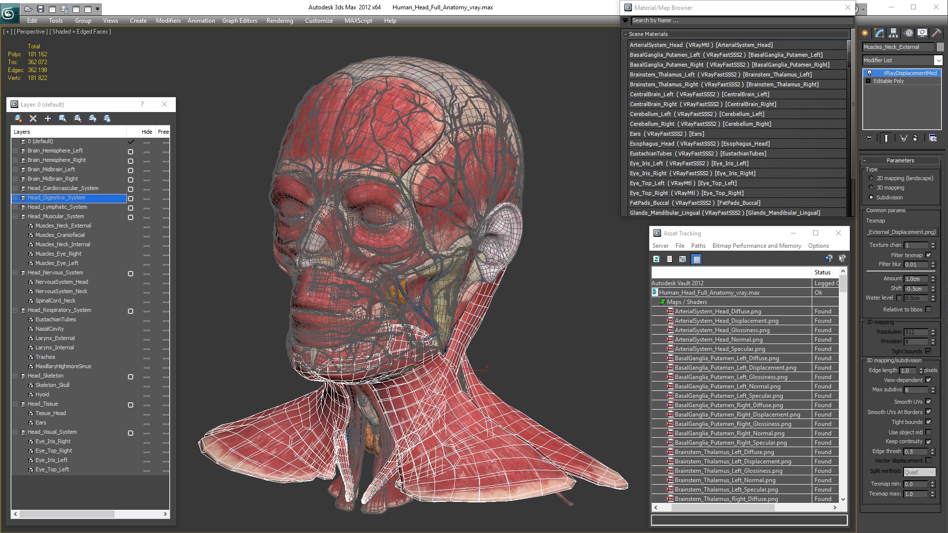 3D human head anatomy https://p.turbosquid.com/ts-thumb/g6/IK1u6e/3DzmCVQ1/humanheadfullanatomyvray3dmodel046/jpg/1574357684/1920x1080/fit_q87/66f17513fd1e5b8a196bccf2310d33b8cdbb511c/humanheadfullanatomyvray3dmodel046.jpg