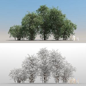 3D summer elaeagnus tree leaves model