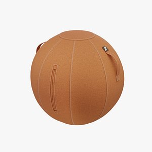 3D Workout Exercise Ball