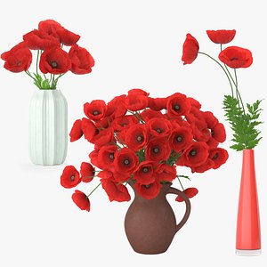 Poppy Flowers model