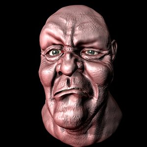 3d head 3 1 model