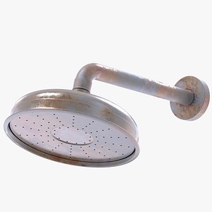 3D old dirty delfi showerhead