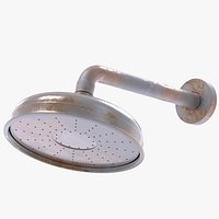 Old & Dirty Delfi ShowerHead with Mounted Arm