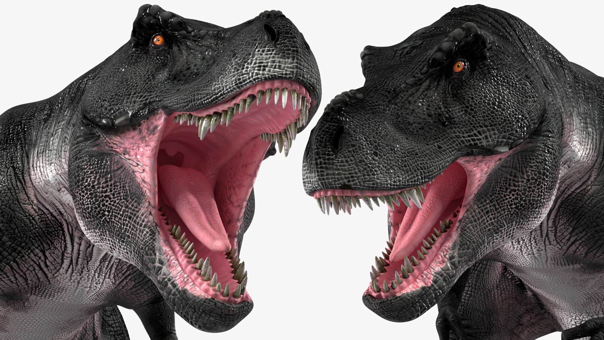 T Rex Rigged 3D model https://p.turbosquid.com/ts-thumb/g6/rHq0Ce/Au/trexrigged3dmodel029/jpg/1690409829/1920x1080/fit_q87/c0f4fee8be3f7a0274e4c65f6694e40a37f3613d/trexrigged3dmodel029.jpg