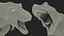 T Rex Rigged