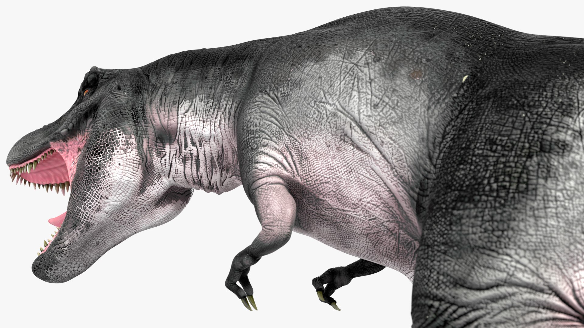 T Rex Rigged 3D model https://p.turbosquid.com/ts-thumb/g6/rHq0Ce/dl/trexrigged3dmodel024/jpg/1690409810/1920x1080/fit_q87/ce2201b06d63f0bf664d289f89df4e4d1ec3858e/trexrigged3dmodel024.jpg