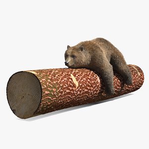 Brown Bear Sleeping on Log Fur 3D model