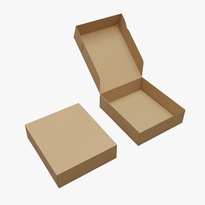 Packaging Box 5