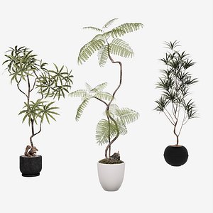 Modern Minimalist Indoor Potted Plant Set
