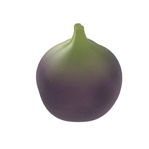 3D model Cartoon Fig