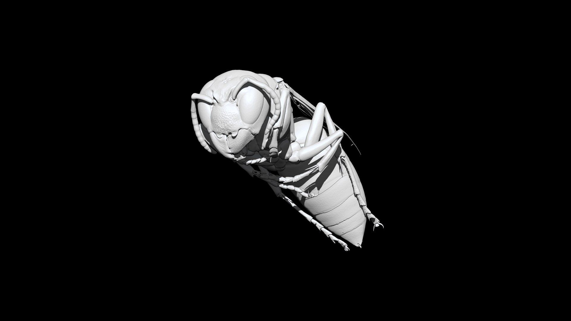 Wasp 3D CT scan model 3D https://p.turbosquid.com/ts-thumb/g7/2jasJG/5p/1/png/1664429803/1920x1080/fit_q87/0547a4fc4907f93a97c1d563814183a230326bab/1.jpg
