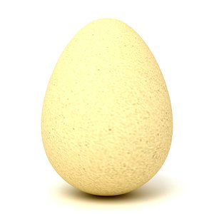 chiken egg 3D