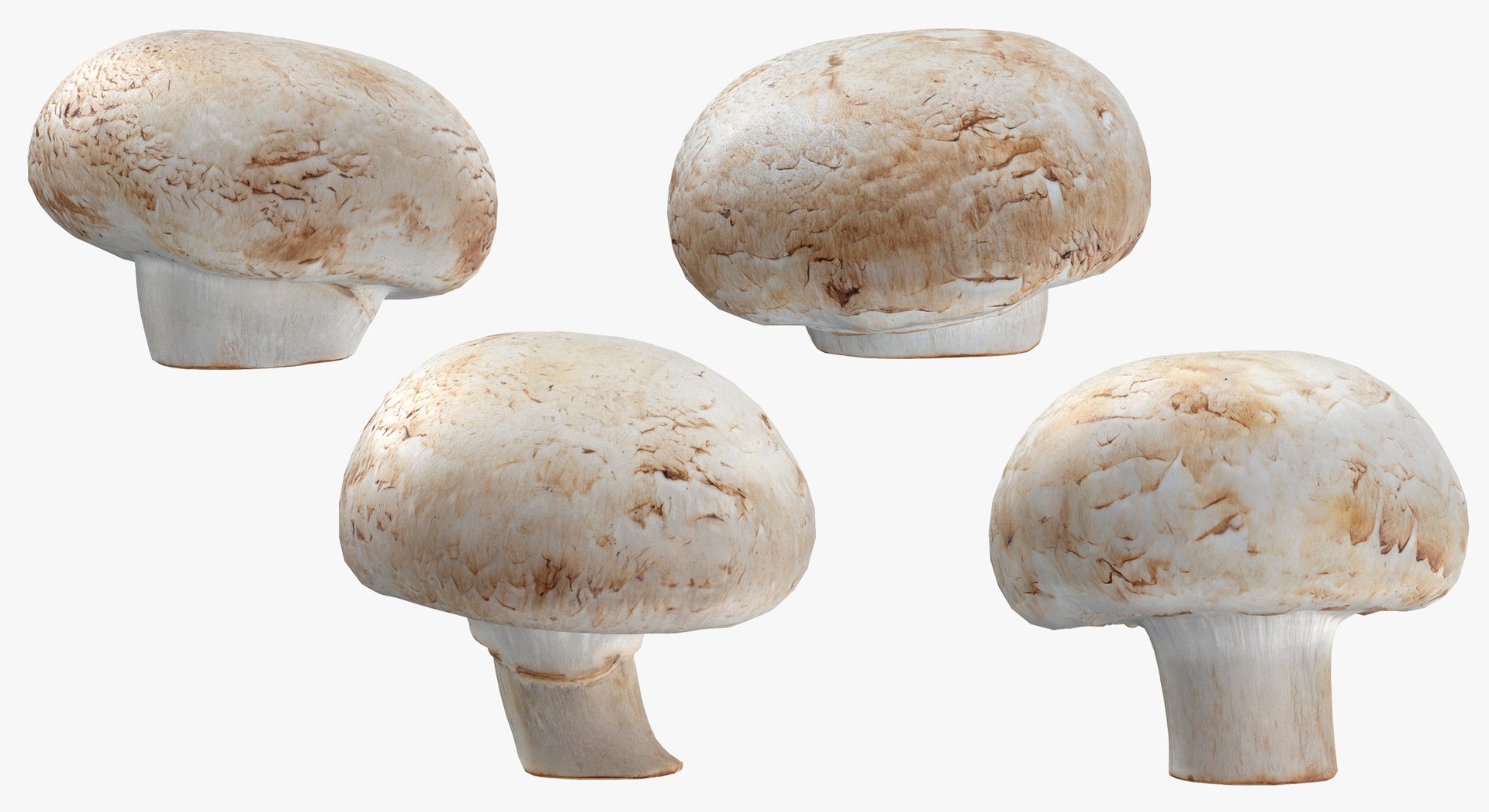 3D Potatoes and White Mushroom Game Ready Collection 01 - 24 models https://p.turbosquid.com/ts-thumb/g7/CFklLn/7Y/6v/jpg/1637762540/1920x1080/fit_q87/6cda06a0ef009be6a01c248b07a6eb462f44d43d/6v.jpg