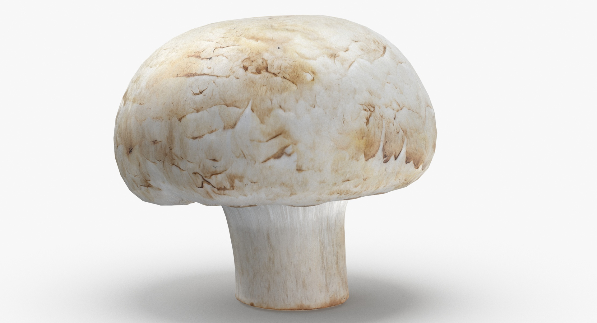 3D Potatoes and White Mushroom Game Ready Collection 01 - 24 models https://p.turbosquid.com/ts-thumb/g7/CFklLn/9f/0000/jpg/1576230186/1920x1080/turn_fit_q99/e9966ae142538f487ba4a062bcb498f95695bf55/0000-1.jpg
