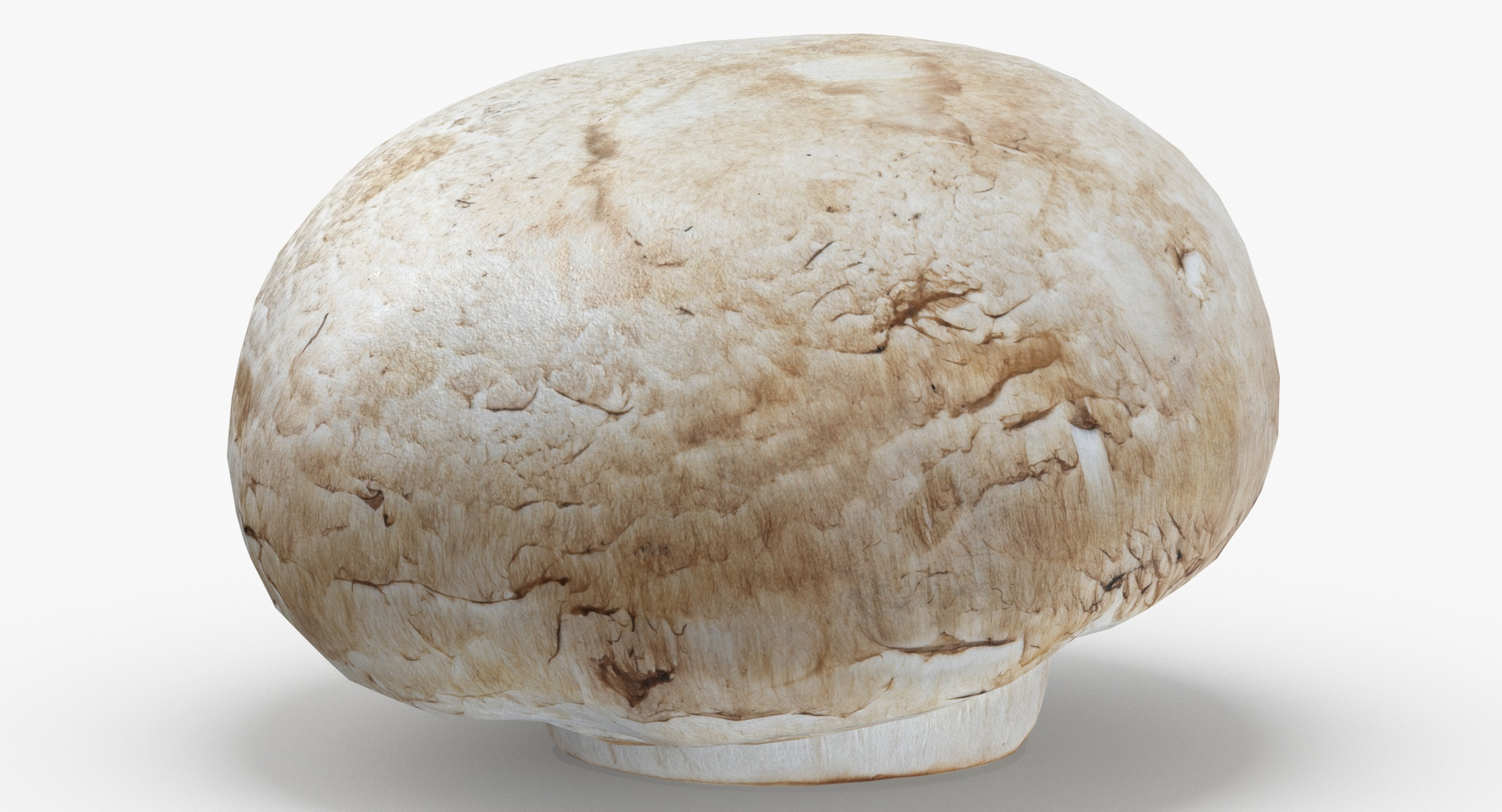 3D Potatoes and White Mushroom Game Ready Collection 01 - 24 models https://p.turbosquid.com/ts-thumb/g7/CFklLn/LQ/0000/jpg/1581420961/1920x1080/turn_fit_q99/7a747035cf7682222c10ffb6aa772bb830e8fdd3/0000-1.jpg