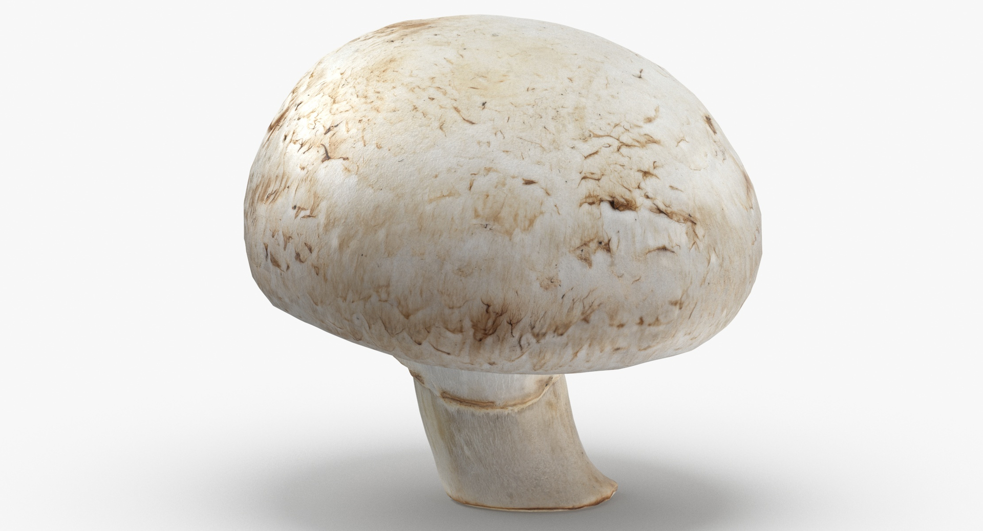 3D Potatoes and White Mushroom Game Ready Collection 01 - 24 models https://p.turbosquid.com/ts-thumb/g7/CFklLn/OD/0000/jpg/1576230075/1920x1080/turn_fit_q99/236231ae73827bc3a08a90924d77c839fc8e6f71/0000-1.jpg