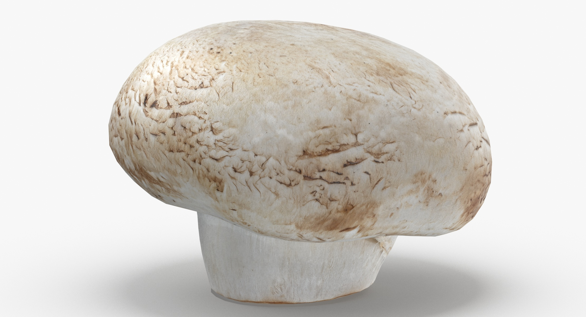 3D Potatoes and White Mushroom Game Ready Collection 01 - 24 models https://p.turbosquid.com/ts-thumb/g7/CFklLn/cv/0000/jpg/1581593714/1920x1080/turn_fit_q99/a073a8b6dee7670f2bce27a3ee3a25a0503f88cf/0000-1.jpg