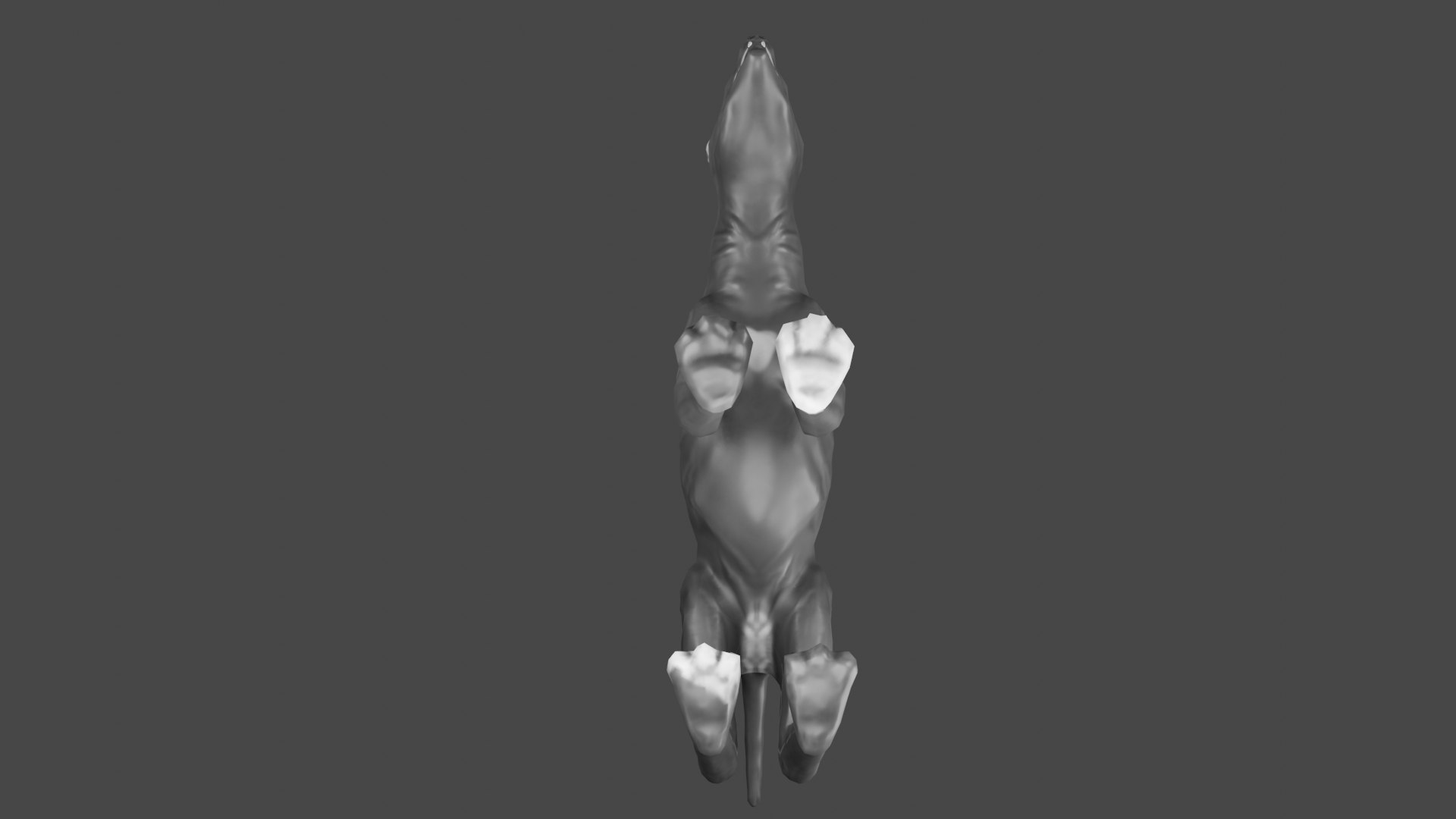 3D Bat Cat Fantasy Creature https://p.turbosquid.com/ts-thumb/g7/DaITBi/9L/view6/png/1658240557/1920x1080/fit_q87/a8c643e1c8f5c83fe34cb022e6742964358064e8/view6.jpg