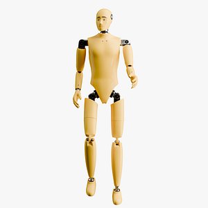 Rigged Crash Test Male Mannequin