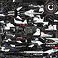 GEOX Dragon Formula E Saison 2019 2020
