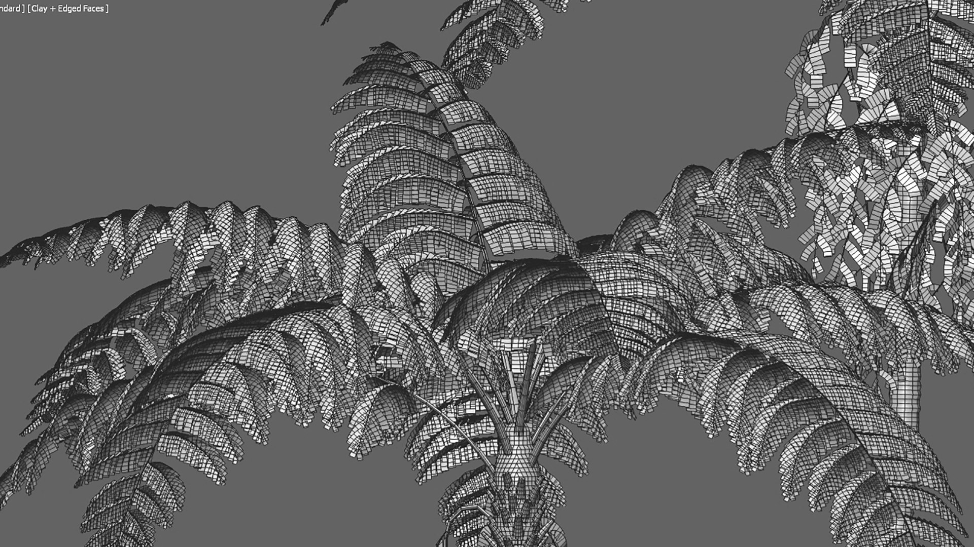 3D model Cyathea cooper - fern 02 https://p.turbosquid.com/ts-thumb/g7/hxVQ4b/wE/3dtree_cyathea_cooperi_01_v9/jpg/1630576958/1920x1080/fit_q87/7ae77630b79c31e44881e3889334baf95e09deab/3dtree_cyathea_cooperi_01_v9.jpg