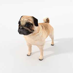 pug 3D model