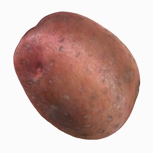 red potato 3D model