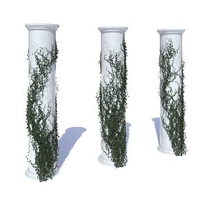 3D model Collection of different ivy on the columns