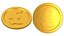 Pound Gold Coin 01