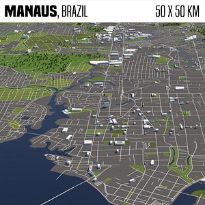 Manaus Brazil 50x50km City Map