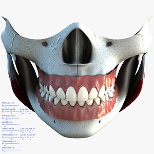 anatomical teeth tongue mouth max