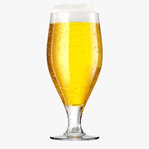 Beer Glass