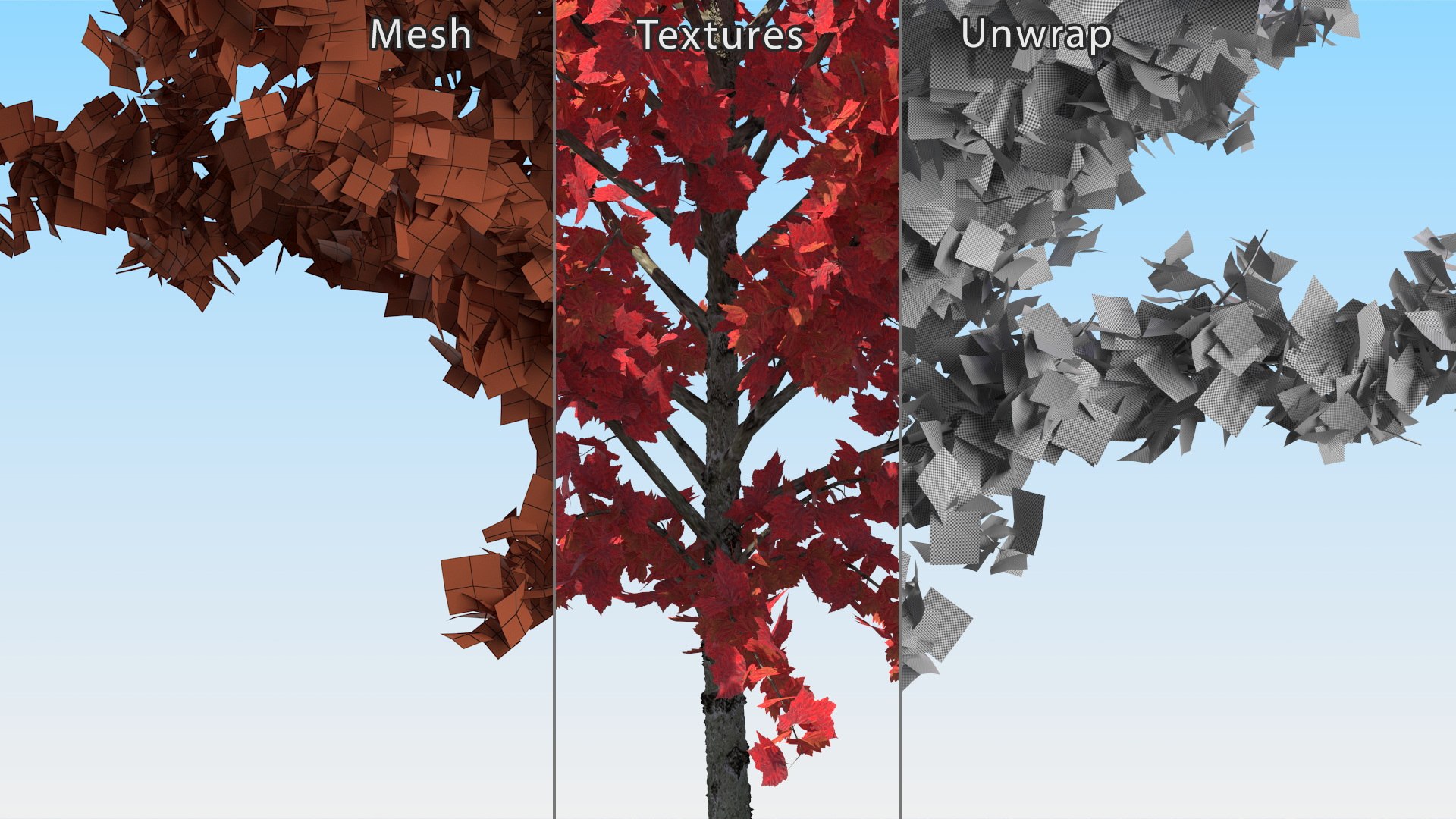 3D Autumn Young Maple Tree Model - TurboSquid 2202005