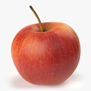 Red Gala Apple PBR Scan Retopo 3D