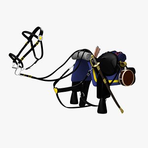 Civil War Saddle & Bridle